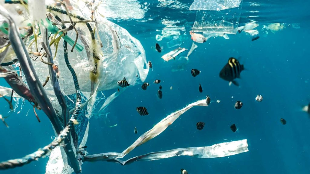 There will be more plastic than fish in the sea by 2050
